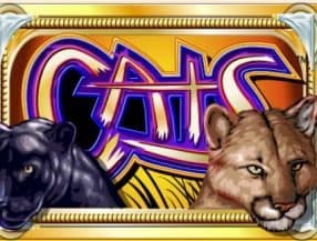 ufc slots 777